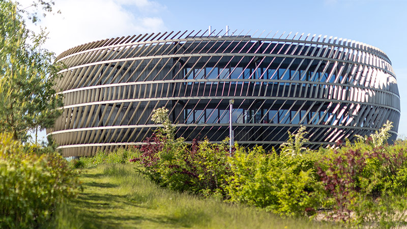 New Website | Research Consulting